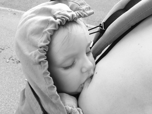Amma i sele Tula toddler breastfeeding toddler offentlig amning amma stora barn amma 2-åring snygga amningsbilder glamour breastfeeding amningsbilder du kan amma här
